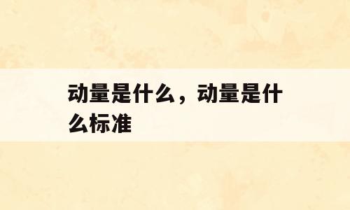 动量是什么，动量是什么标准