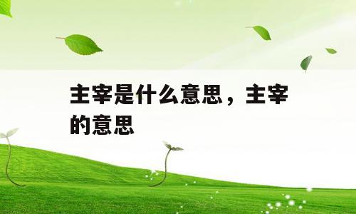 主宰是什么意思，主宰的意思