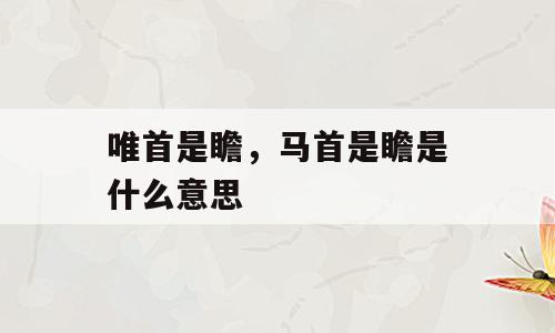 唯首是瞻，马首是瞻是什么意思