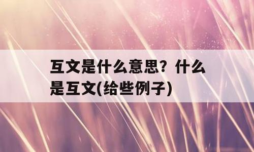 互文是什么意思？什么是互文(给些例子)