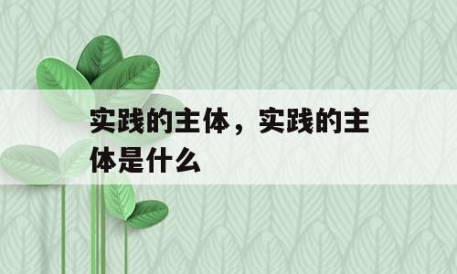 实践的主体，实践的主体是什么