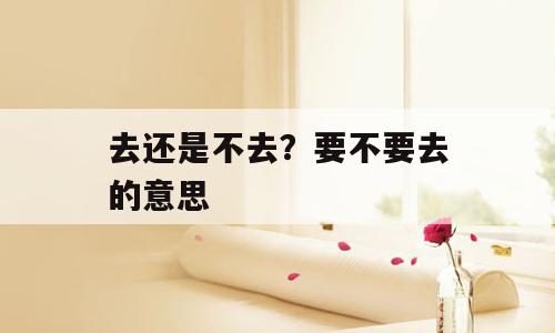 去还是不去？要不要去的意思