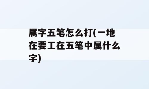 属字五笔怎么打(一地在要工在五笔中属什么字)