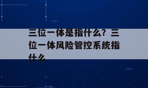 三位一体是指什么？三位一体风险管控系统指什么