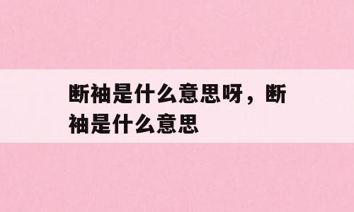 断袖是什么意思呀，断袖是什么意思