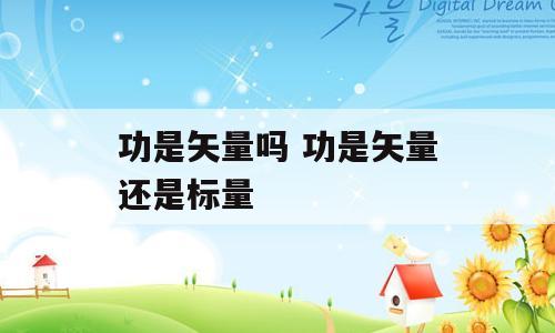功是矢量吗 功是矢量还是标量