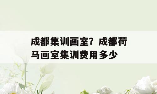成都集训画室？成都荷马画室集训费用多少