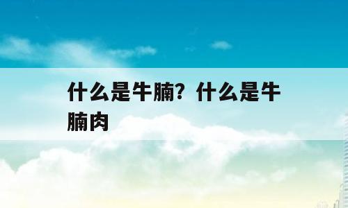什么是牛腩？什么是牛腩肉