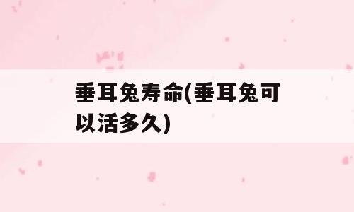 垂耳兔寿命(垂耳兔可以活多久)