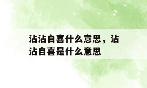 沾沾自喜什么意思，沾沾自喜是什么意思