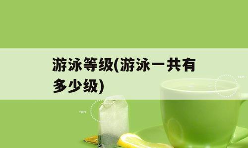 游泳等级(游泳一共有多少级)