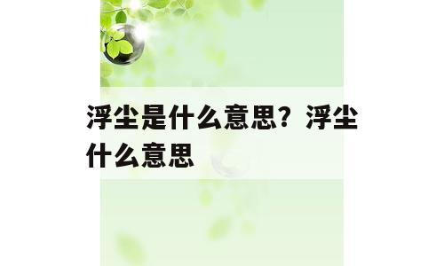 浮尘是什么意思？浮尘什么意思