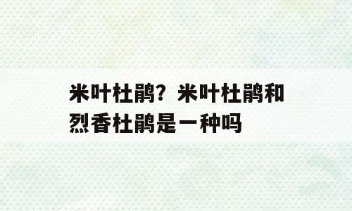 米叶杜鹃？米叶杜鹃和烈香杜鹃是一种吗