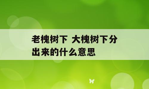 老槐树下 大槐树下分出来的什么意思
