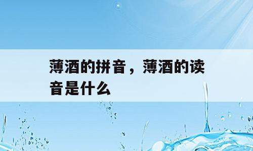 薄酒的拼音，薄酒的读音是什么