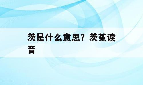 茨是什么意思？茨菟读音
