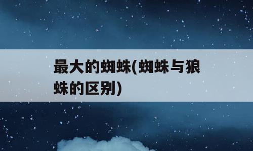 最大的蜘蛛(蜘蛛与狼蛛的区别)