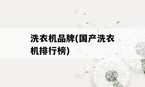 洗衣机品牌(国产洗衣机排行榜)