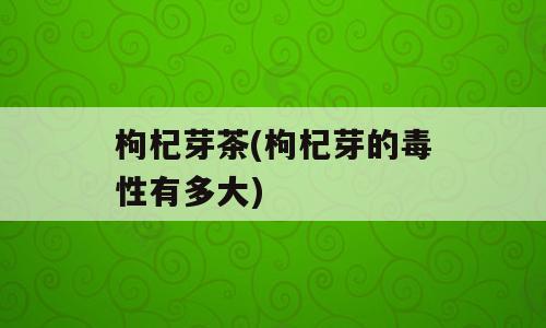 枸杞芽茶(枸杞芽的毒性有多大)