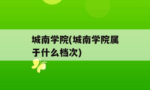 城南学院(城南学院属于什么档次)