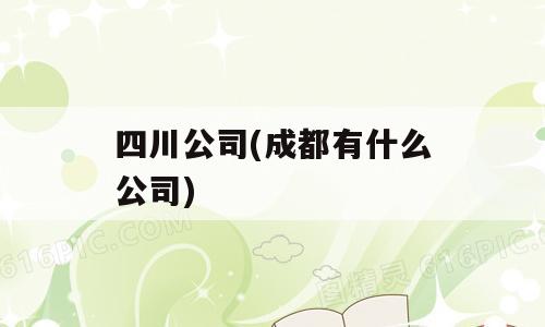 四川公司(成都有什么公司)