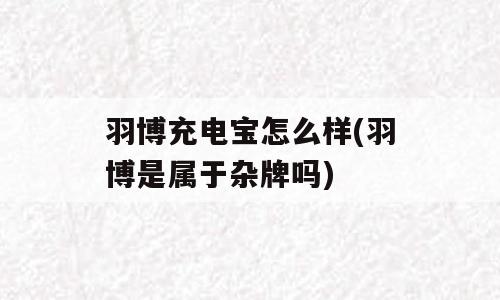 羽博充电宝怎么样(羽博是属于杂牌吗)