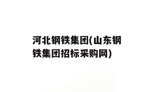 河北钢铁集团(山东钢铁集团招标采购网)