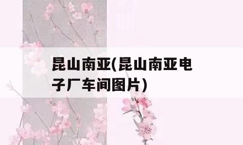 昆山南亚(昆山南亚电子厂车间图片)
