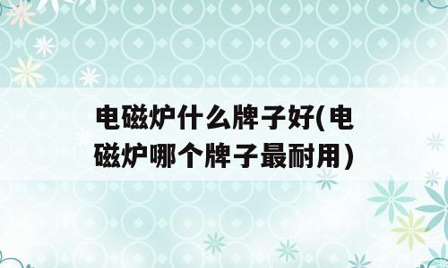 电磁炉什么牌子好(电磁炉哪个牌子最耐用)