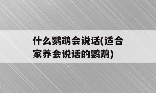 什么鹦鹉会说话(适合家养会说话的鹦鹉)