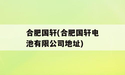 合肥国轩(合肥国轩电池有限公司地址)