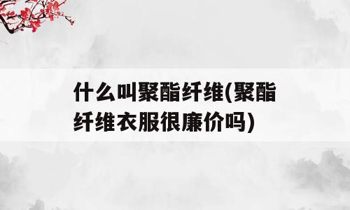 什么叫聚酯纤维(聚酯纤维衣服很廉价吗)
