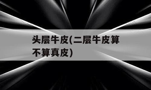 头层牛皮(二层牛皮算不算真皮)