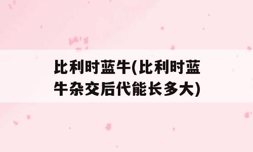比利时蓝牛(比利时蓝牛杂交后代能长多大)