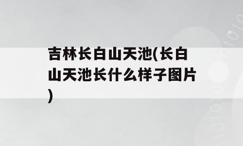 吉林长白山天池(长白山天池长什么样子图片)