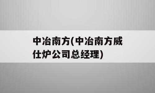 中冶南方(中冶南方威仕炉公司总经理)