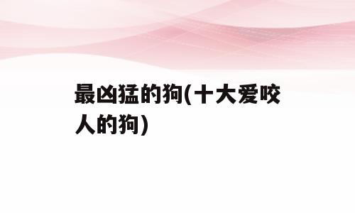 最凶猛的狗(十大爱咬人的狗)