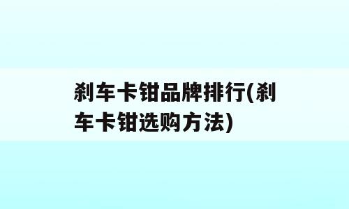 刹车卡钳品牌排行(刹车卡钳选购方法)