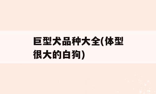 巨型犬品种大全(体型很大的白狗)