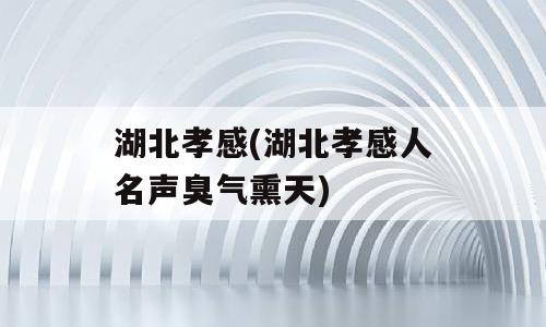 湖北孝感(湖北孝感人名声臭气熏天)