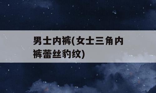 男士内裤(女士三角内裤蕾丝豹纹)