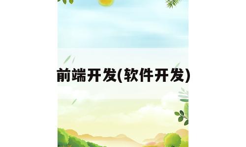 前端开发(软件开发)