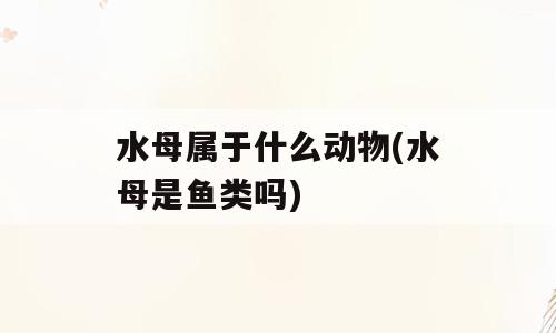 水母属于什么动物(水母是鱼类吗)