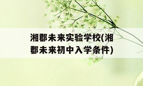湘郡未来实验学校(湘郡未来初中入学条件)
