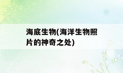 海底生物(海洋生物照片的神奇之处)