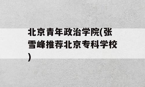 北京青年政治学院(张雪峰推荐北京专科学校)