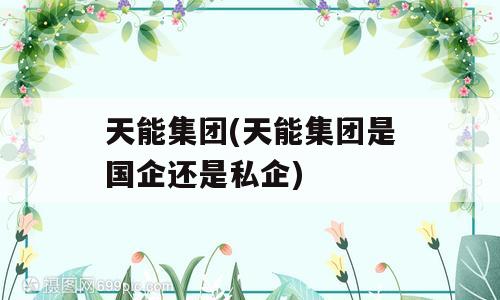 天能集团(天能集团是国企还是私企)
