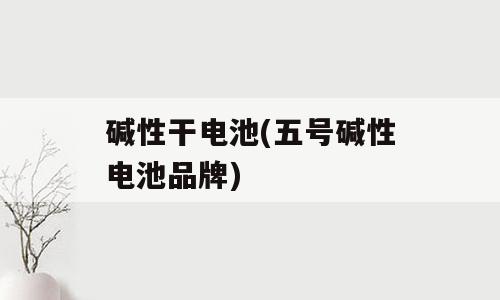 碱性干电池(五号碱性电池品牌)