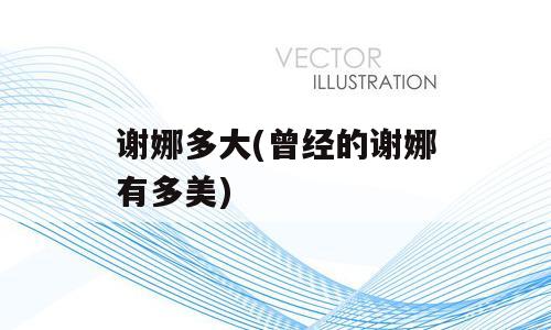 谢娜多大(曾经的谢娜有多美)