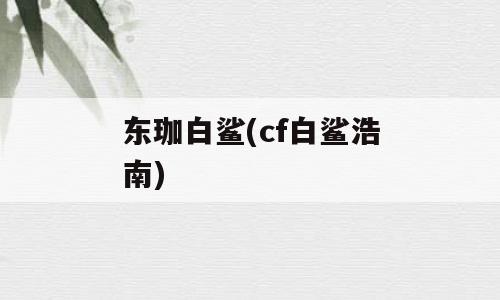东珈白鲨(cf白鲨浩南)
